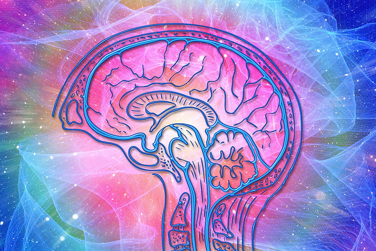 brain and neurons cartoon image